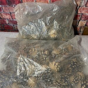 Decorative Pine Cones in Bag. New. 50+ in each Bag. 2 Bags. Christmas Decor